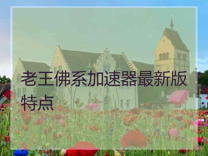 老王佛系加速器最新版特点