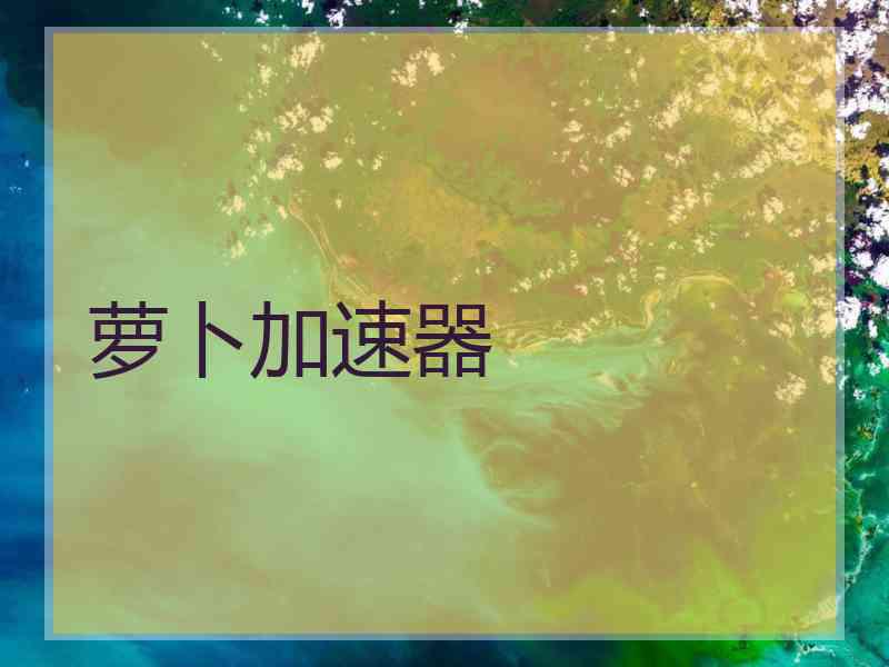 萝卜加速器
