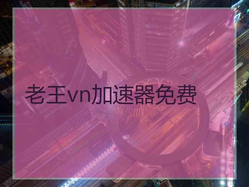 老王vn加速器免费