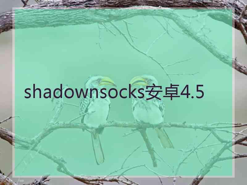 shadownsocks安卓4.5