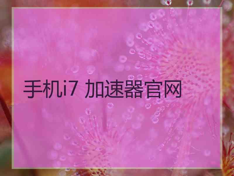 手机i7 加速器官网