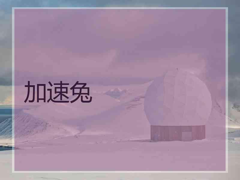 加速兔