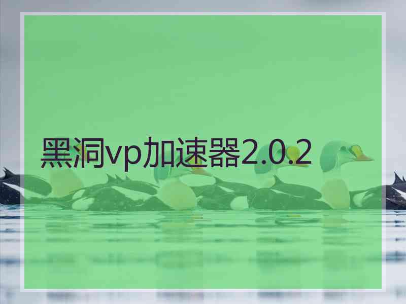 黑洞vp加速器2.0.2