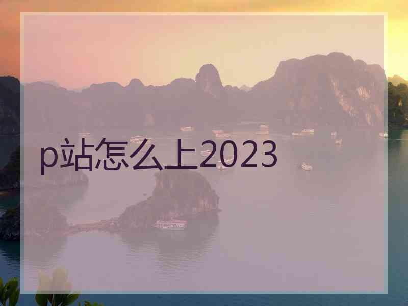 p站怎么上2023