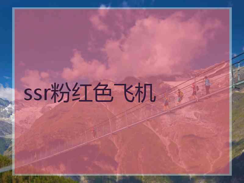 ssr粉红色飞机
