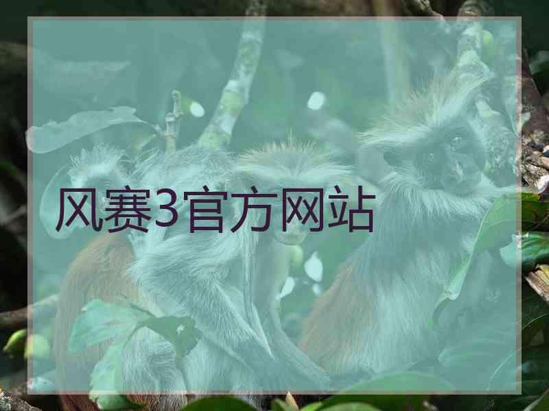 风赛3官方网站