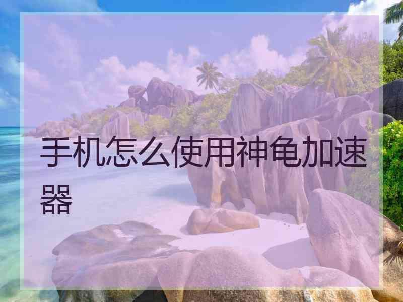 手机怎么使用神龟加速器