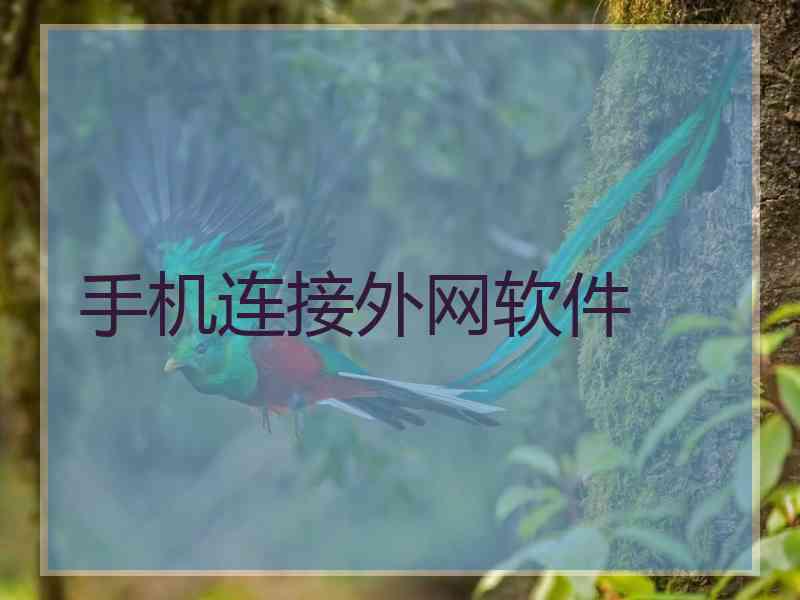 手机连接外网软件