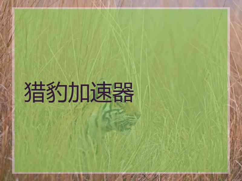 猎豹加速器