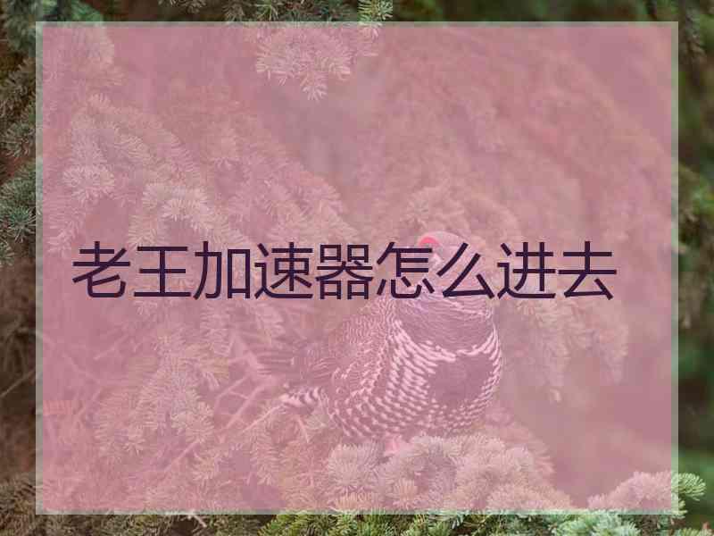 老王加速器怎么进去