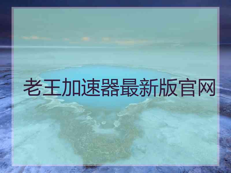 老王加速器最新版官网