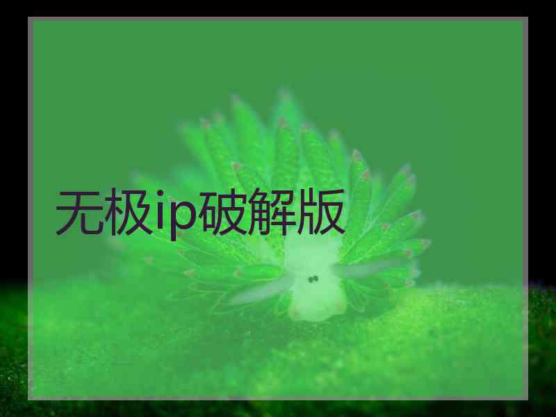 无极ip破解版