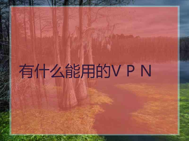 有什么能用的V P N