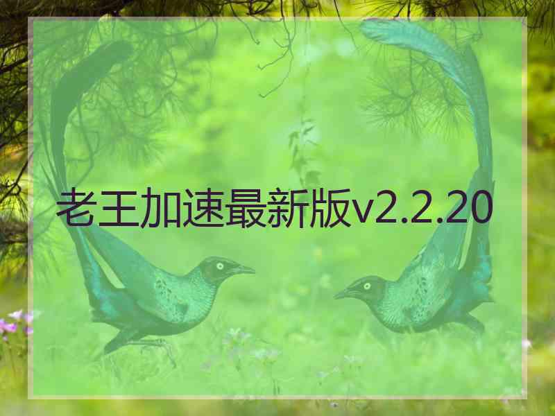 老王加速最新版v2.2.20