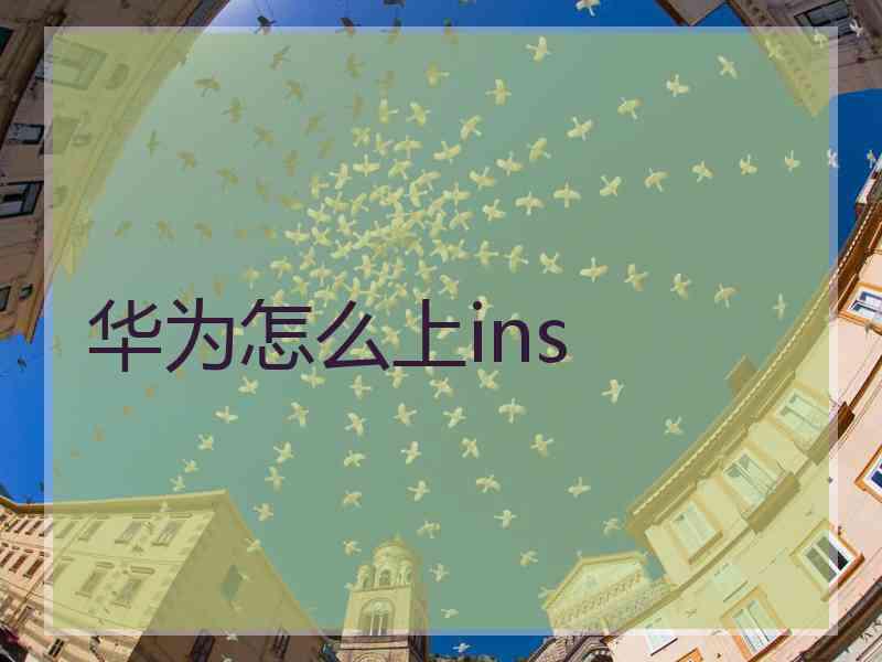 华为怎么上ins