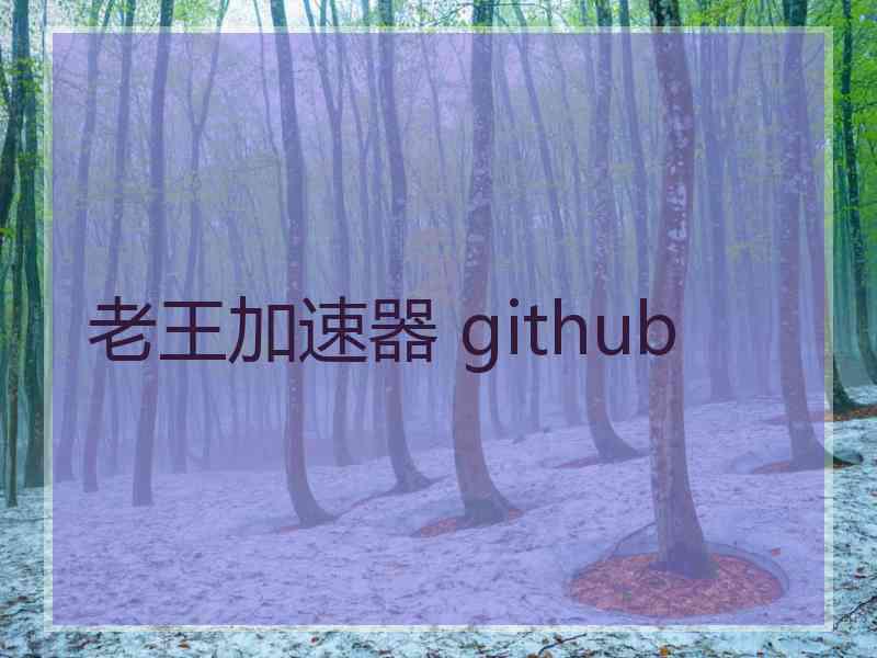 老王加速器 github