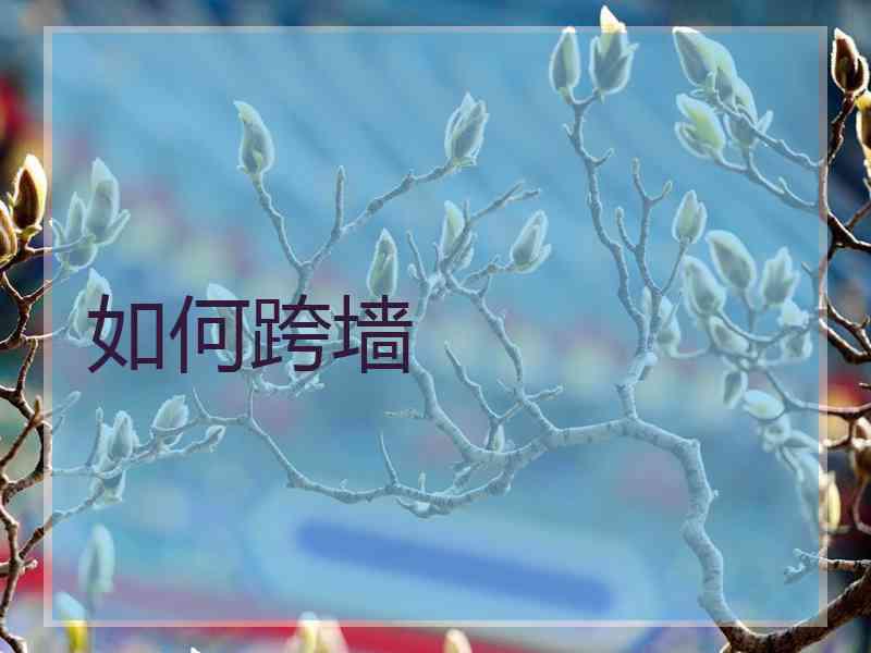 如何跨墙
