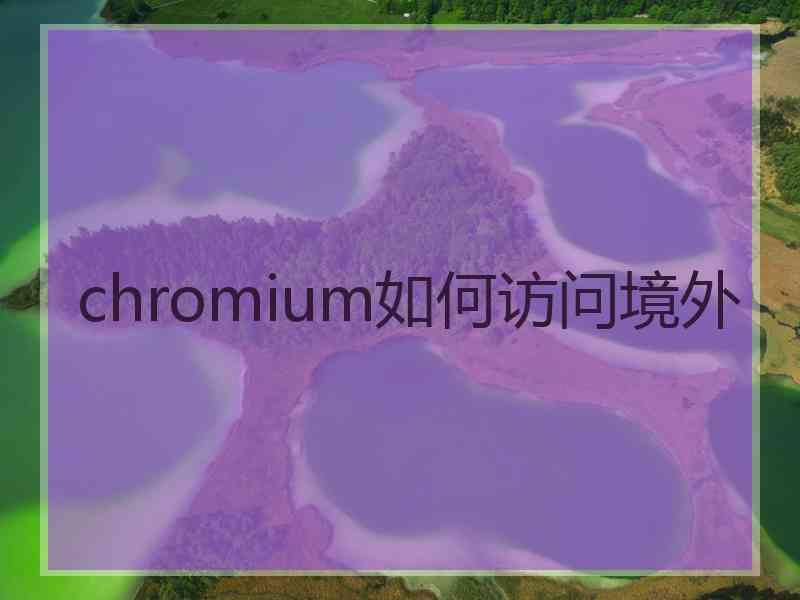 chromium如何访问境外