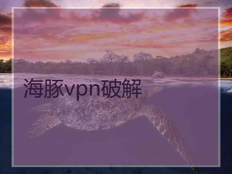 海豚vpn破解