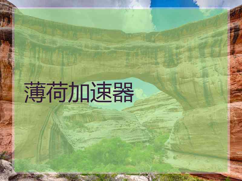 薄荷加速器