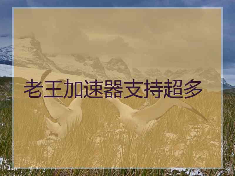 老王加速器支持超多
