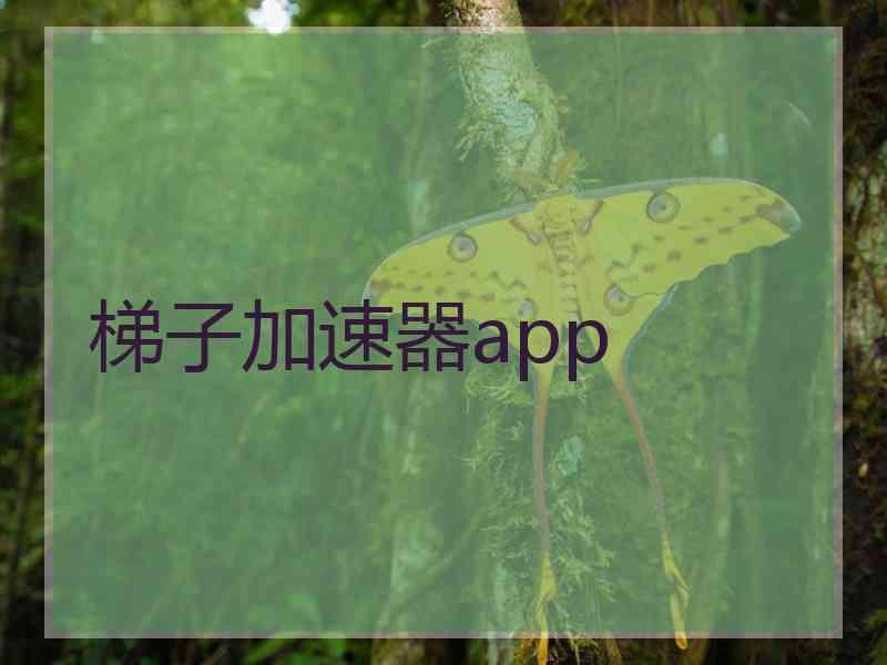 梯子加速器app