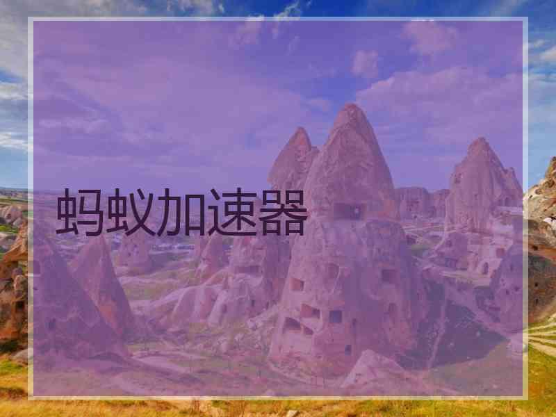 蚂蚁加速器