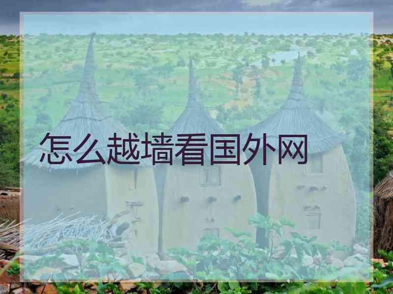 怎么越墙看国外网