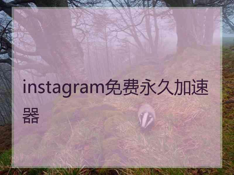 instagram免费永久加速器