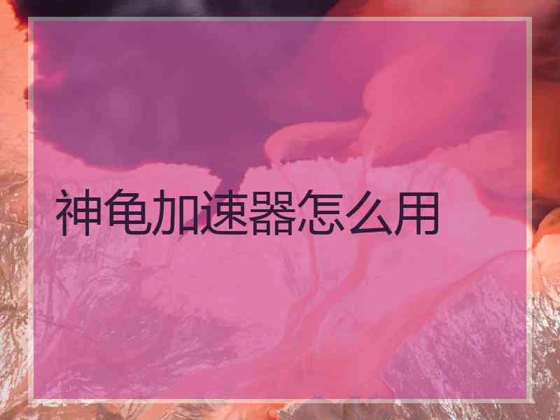 神龟加速器怎么用