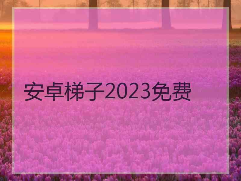 安卓梯子2023免费