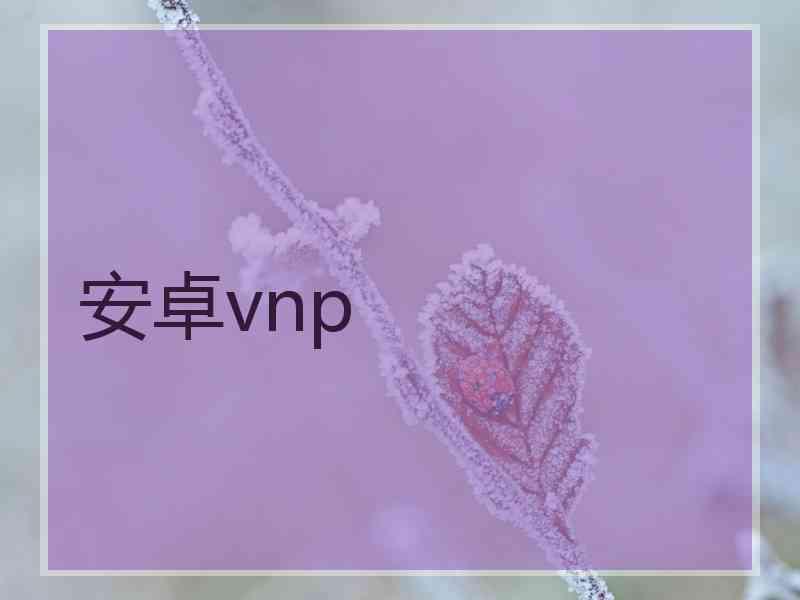 安卓vnp