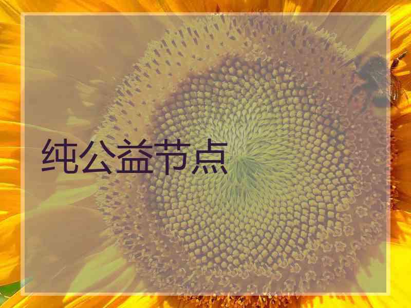 纯公益节点