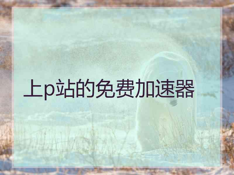 上p站的免费加速器