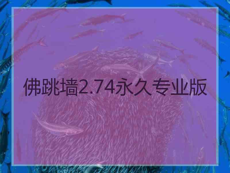 佛跳墙2.74永久专业版