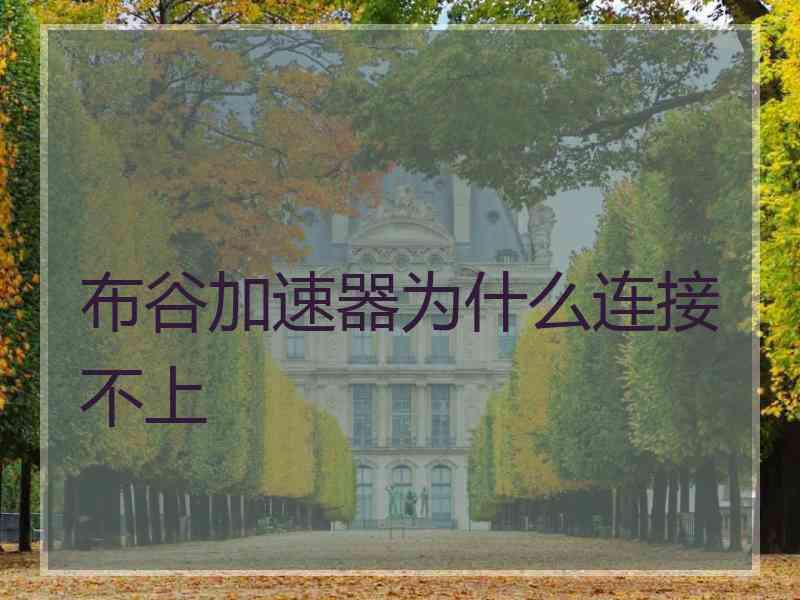 布谷加速器为什么连接不上