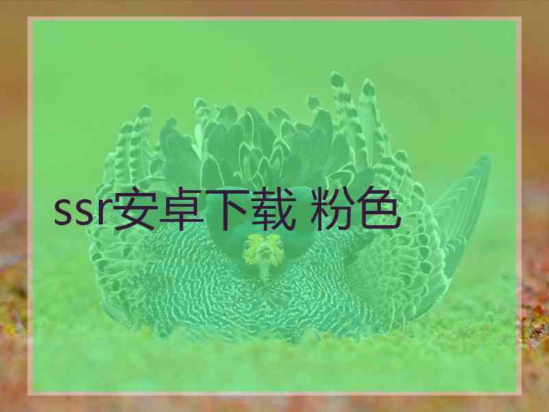 ssr安卓下载 粉色