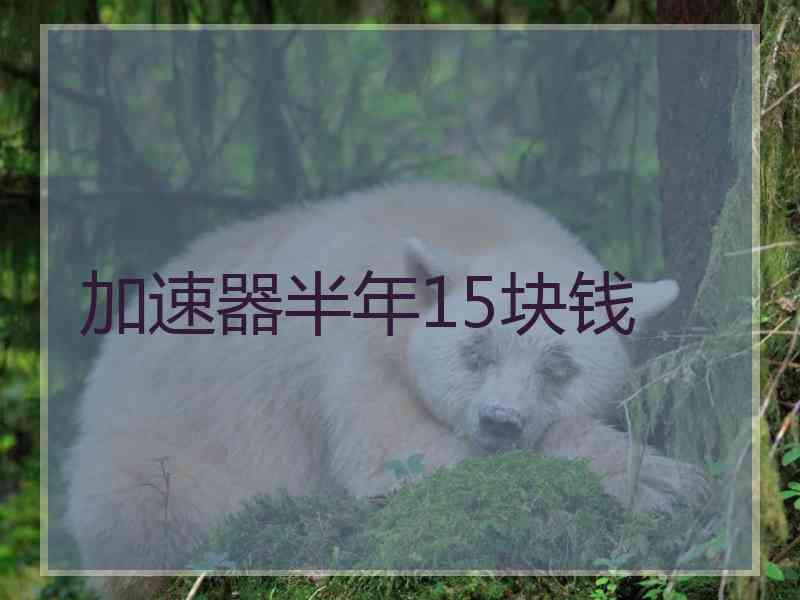 加速器半年15块钱