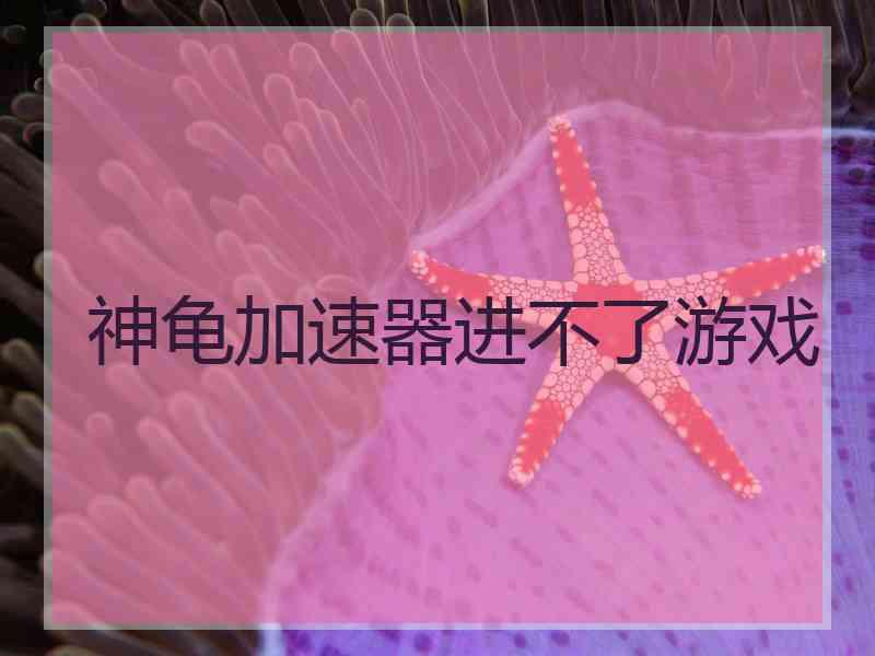 神龟加速器进不了游戏
