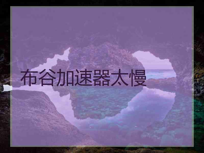 布谷加速器太慢