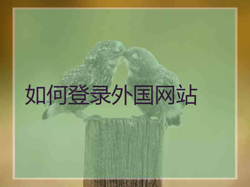 如何登录外国网站