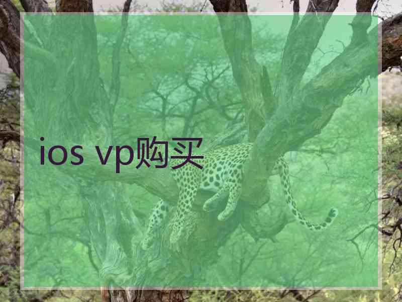 ios vp购买