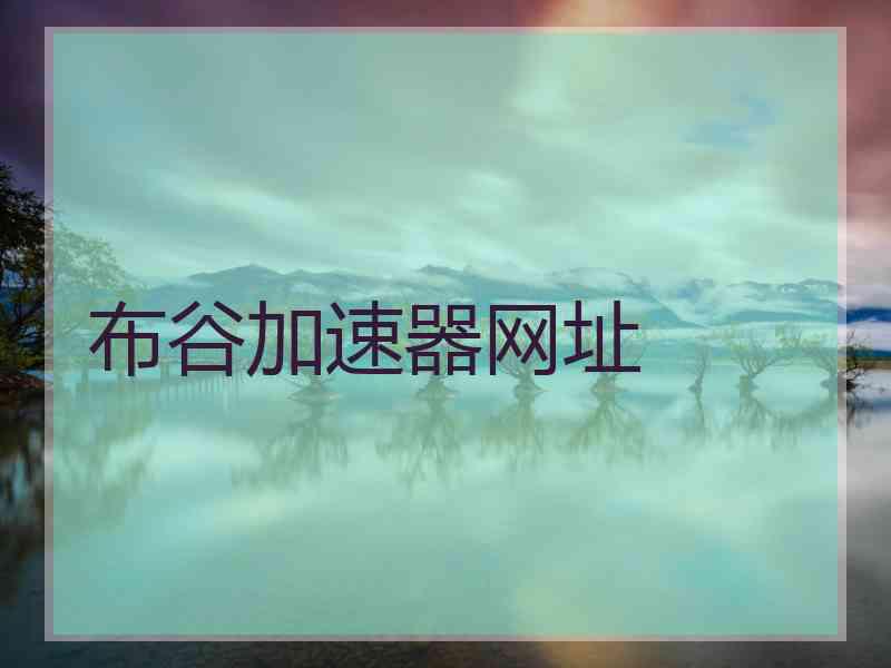 布谷加速器网址