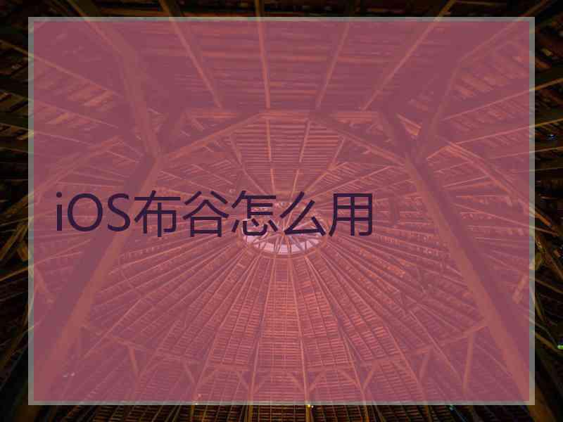 iOS布谷怎么用
