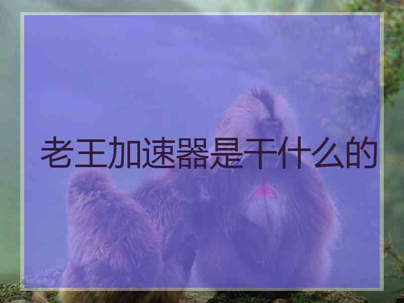 老王加速器是干什么的