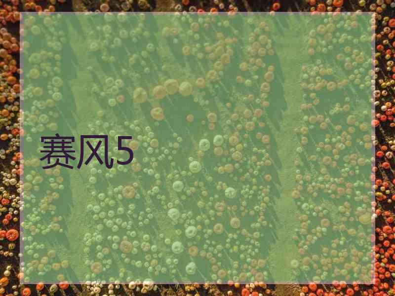 赛风5