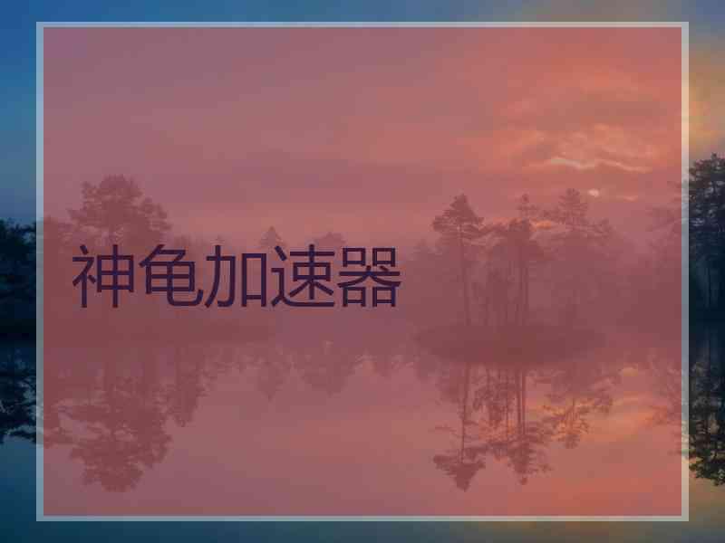 神龟加速器