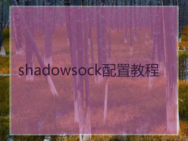 shadowsock配置教程