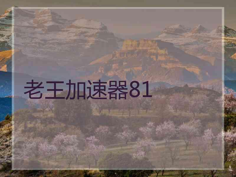 老王加速器81