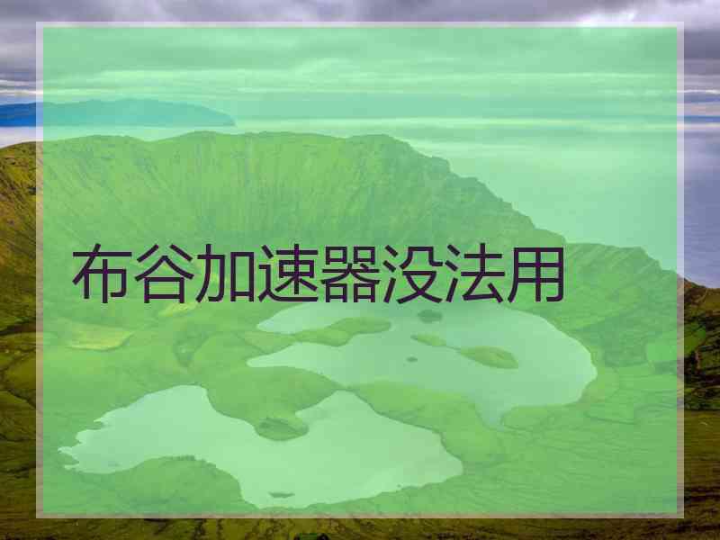 布谷加速器没法用